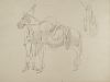 Adrien Dauzats (Bordeaux 1804-Parigi 1868)  - Study of Oriental horses