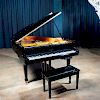 WEBER WG-175 BABY GRAND EBONIZED PIANO, PLAYER MODEL