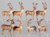 Eight German cast metal reindeer