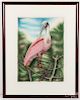 Two John Costin hand colored bird engravings