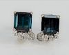 Pair of 14 Karat White Gold Earrings, set with large tourmaline and six diamonds on each having screw backs. large stone 10 millimeters x 10.2 millime