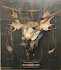 Winchester Advertising Tin Sign, "The Green Door", image with moose rack, guns, and dead hanging ducks by Alexander Pope, "We Recommend and Sell Winch