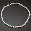 Cultured Pearl Strand 14k White Gold Clasp Necklace