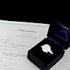 Tiffany & Co 5.50ct Diamond Ring