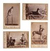 Charming Cabinet Card Portraits of Dogs, Including View of Unusual Photographer and his Subject 
