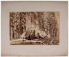 I.W. Taber Albumen Photograph, Section of the "Grizzly Giant," 33 feet diameter, Mariposa Grove, Cal. 