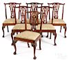 George III carved mahogany dining chairs