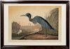 John James Audubon "Blue Crane Or Heron" Havell
