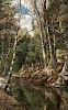 Francis Thayer (American, 19th/20th Century)  Forested Stream