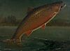 A.L. Martin (19th century)  Leaping Brook Trout