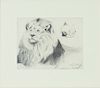 Wilhelm Kuhnert (1865-1926)  Male Lion Study