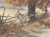 Tom Beecham (1926-2000)  White-Tailed Deer