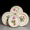 (4) English Creamware Botanical Plates