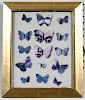 Jiri Kolar, Butterfly Collage