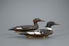Red-Breasted Merganser Pair, Harald Thengs (1893-1974)