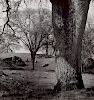 Ansel Adams "Whitney Ranch" Gelatin Silver Print