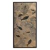 11 FOSSILIZED EOCENE FISH IN WALL MURAL