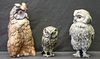 3 Large Vienna Bronze Cold Painted Owls.