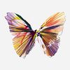 Damien Hirst, Butterfly Spin Painting