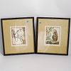 (2 Pc) Hand Colored French Art Prints