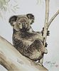 Xu Yanbo (B. 1943) "Koala Propped in Branch"