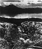 Bill Brandt (1904-1983)  - Gull’s Nest, Late on Midsummer Night, Isle of Skye, 1947