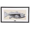 Andy Warhol. "Fish"