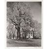 A. Aubrey Bodine. "Liberty Tree, St. John's"