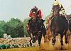 Terrence Fogarty Oil on Canvas Horse Racing