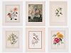 A Miscellaneous Collection of Botanical Colored Lithographs, Engravings and Etchings by Various Artists, 20th Century,