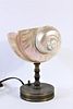 Art Nouveau Nautilus Shell & Bronze Table Lamp
