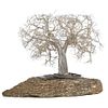Modern Italian Silver Realistic Bonsai Tree Mounted on a Lava Rock