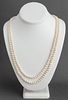 14K Yellow Gold Clasp Cultured Pearl Necklace