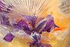 MARY KOCOL, Bold Purple Iris