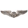 WWII U.S. Army Air Corps Service Pilot Badge