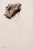 Paul Cesar Helleu
(French, 1859-1927)
A pair of prints (Madame de Saint-Sauveur, de profil; La femme au grand chapeau)