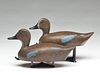 Very rare pair of bluewing teal, William Finch, circa 1900.