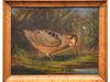 Oil on canvas of woodcock, Wakeman Holburton.