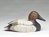 Canvasback drake, Mike Frady, New Orleans, Louisiana.