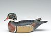 Wood duck drake, Eddy Wozny, Cambridge, Maryland