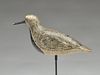 Large Verity Family black bellied plover, Seaford, Long Island, New York, last quarter 19th century.