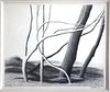 Graphite drawing by Robert Kipniss, trees in pasture