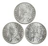 Ten Uncirculated 1887 Silver Morgan Dollars 