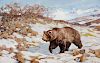 Carl Rungius (1869-1959), Alaskan Brown Bear