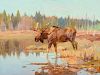 Carl Rungius (1869-1959), Moose in Marshland
