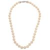 CULTURED PEARLS AND DIAMONDS NECKLACE . 18K WHITE GOLD