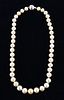 Golden South Sea Pearl 14K Gold Necklace