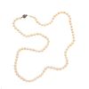 Collar con perlas cultivadas en color blanco de 5 mm y metal base. Peso: 18 g.