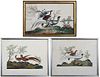 Three Chinese Export Paintings of Exotic Birds