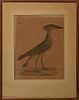 William M. Hart (1830-1908), "Scopus Umbretta," 19th c., bird engraving, marked Ord. IV, Grallae, No 110, titled lower center, signe...